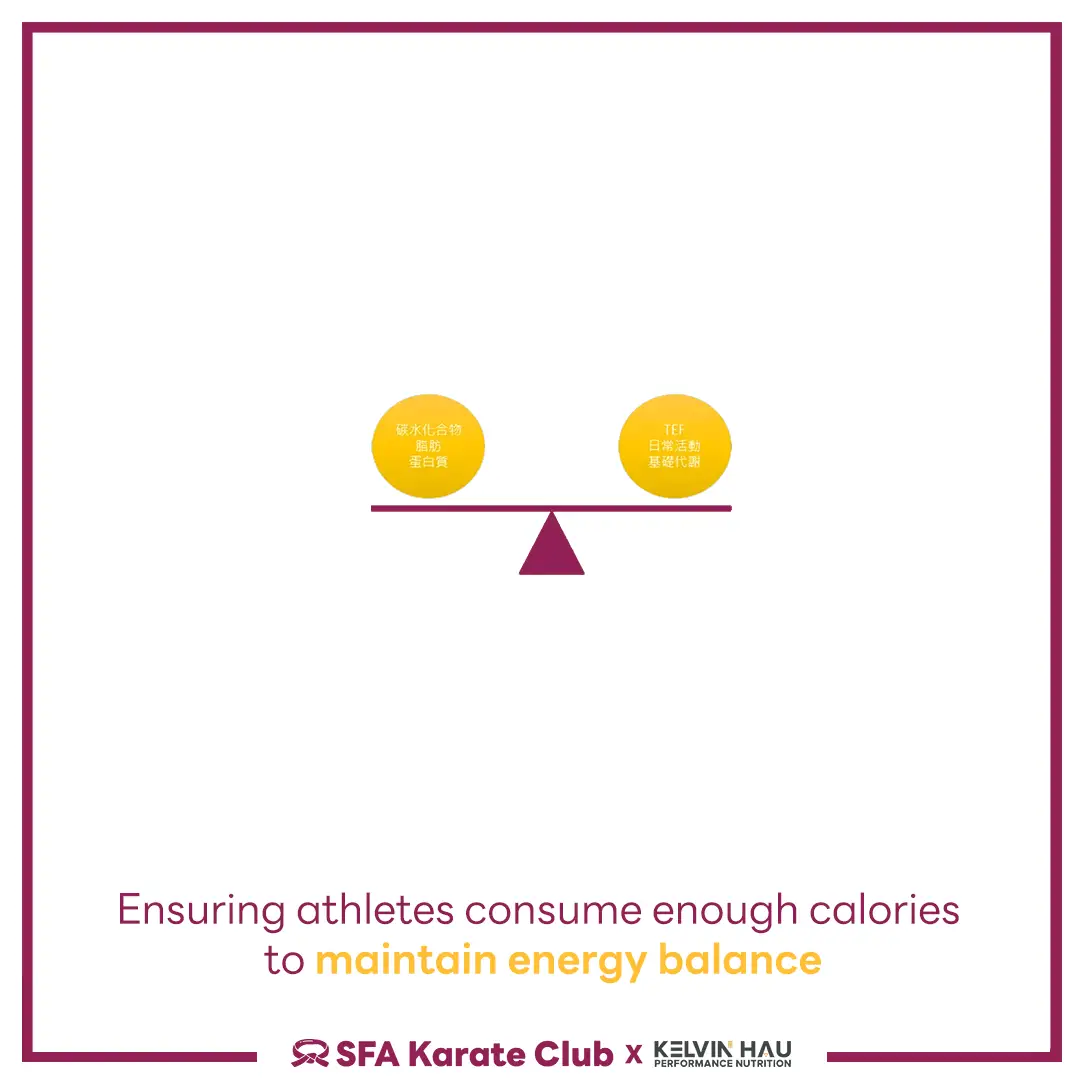 The Basic Principles of Sports Nutrition — image 3 of 7