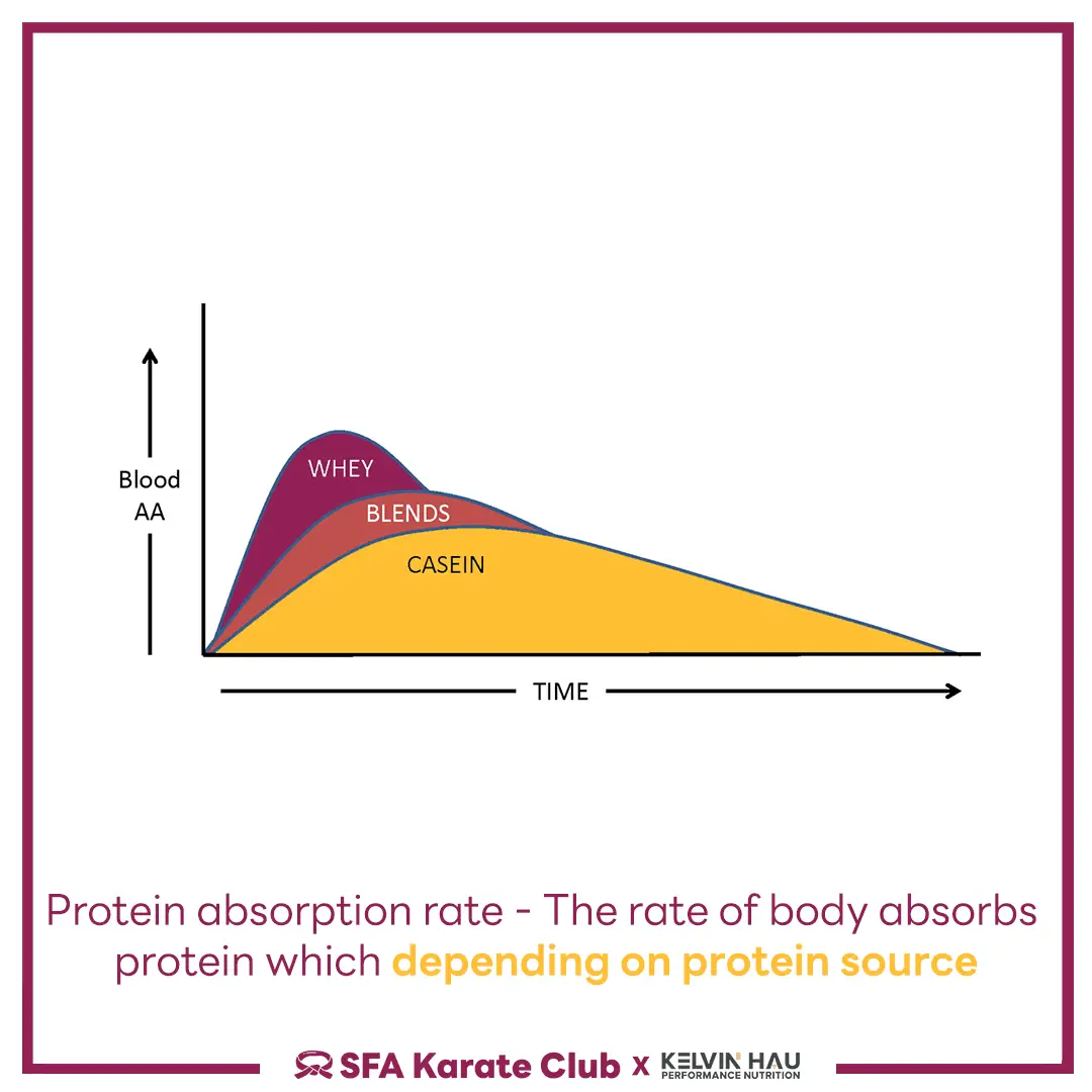 Protein & Performance — image 4 of 7
