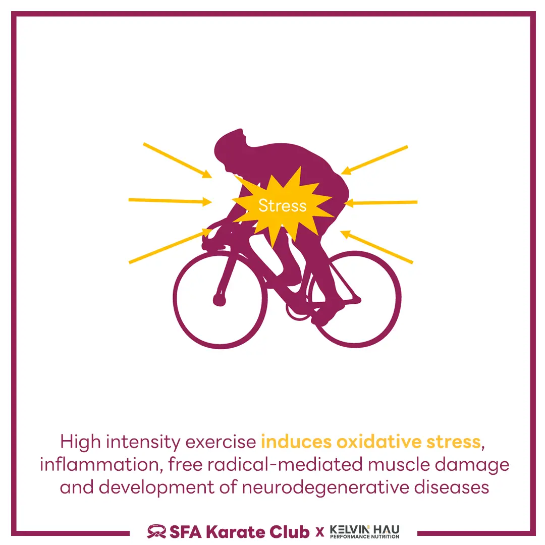 Phytonutrients & Performance — image 5 of 7