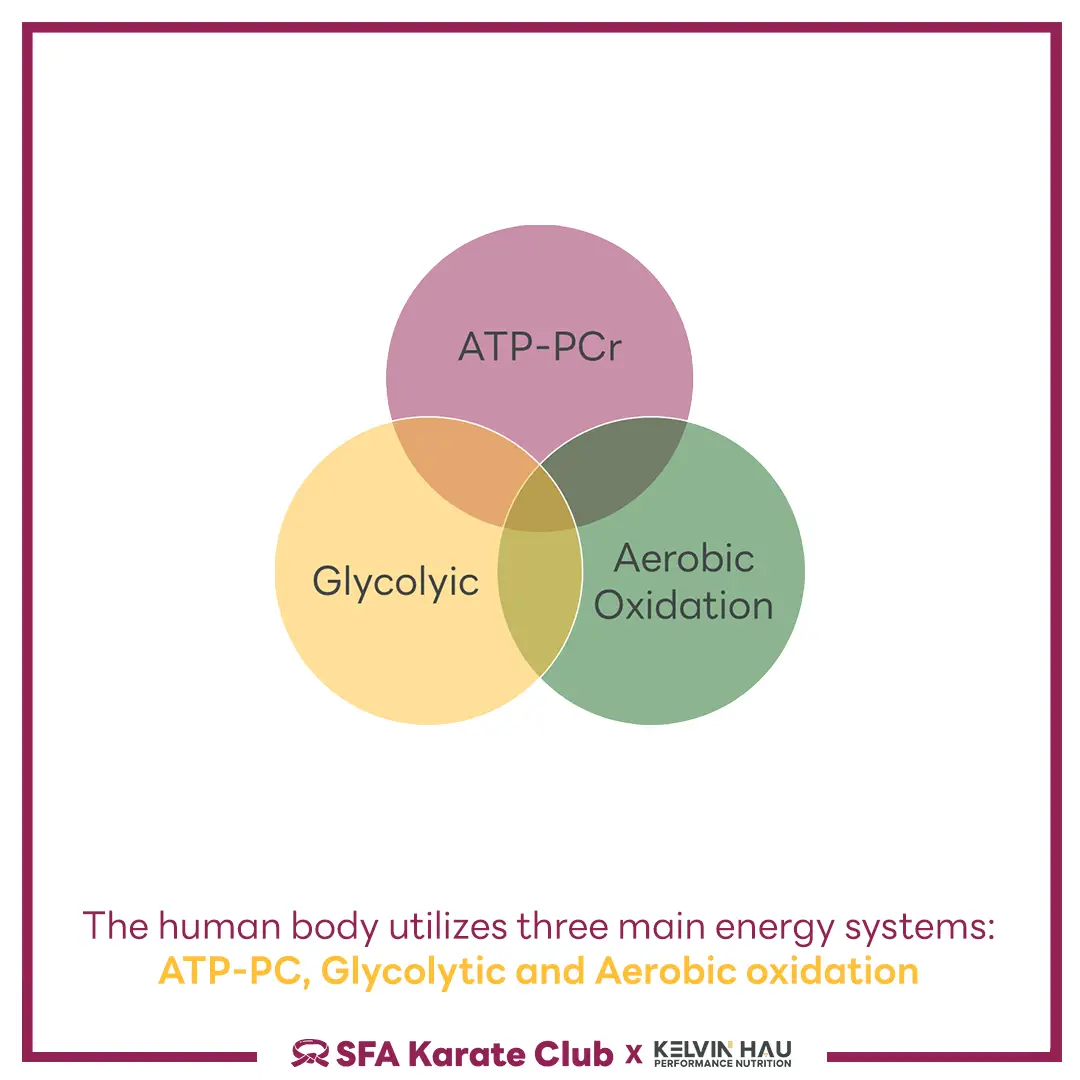 Energy System of Karate — image 3 of 7