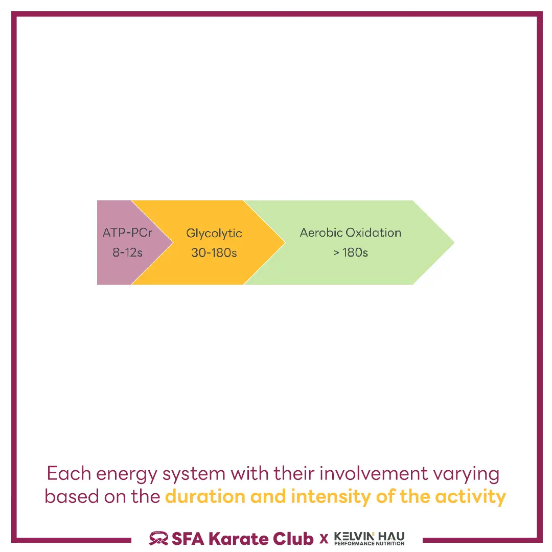 Energy System of Karate — image 4 of 7