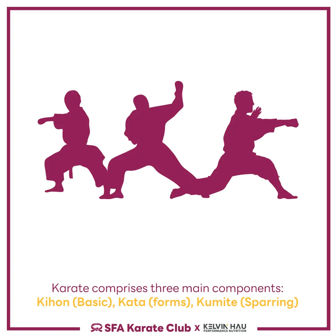 Energy System of Karate — image 5 of 7