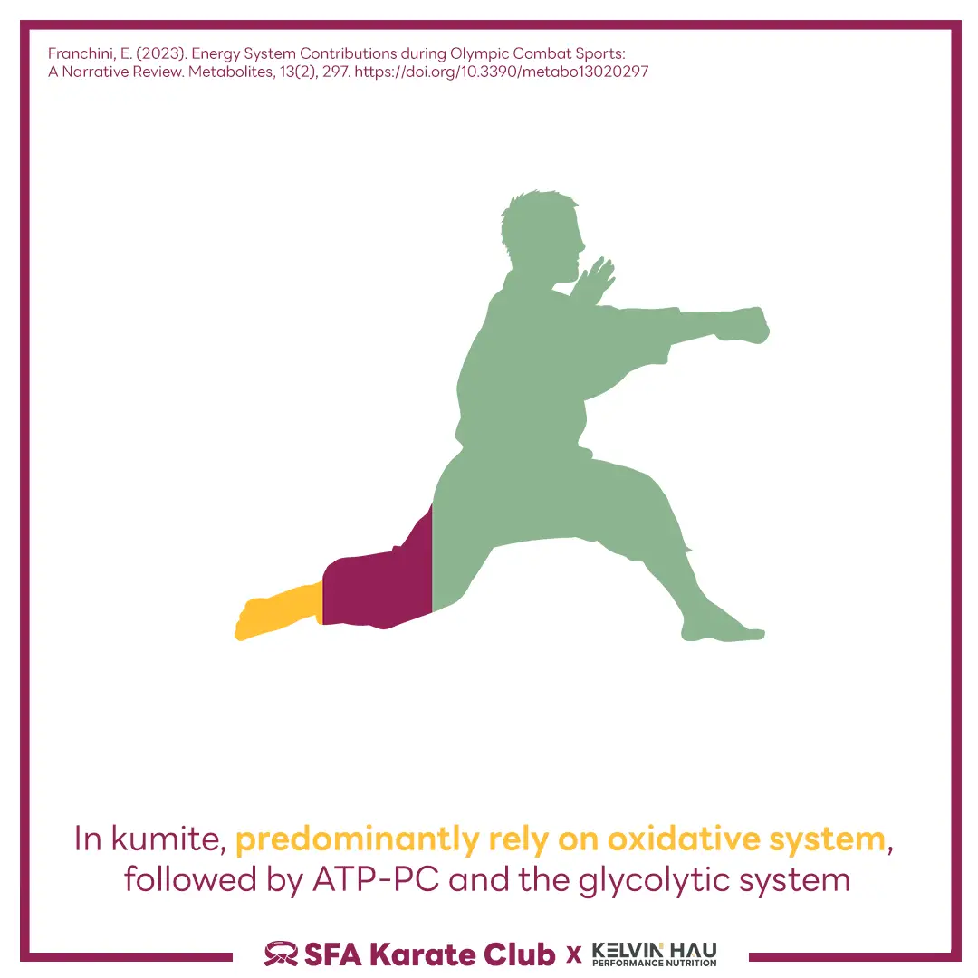 Energy System of Karate — image 6 of 7