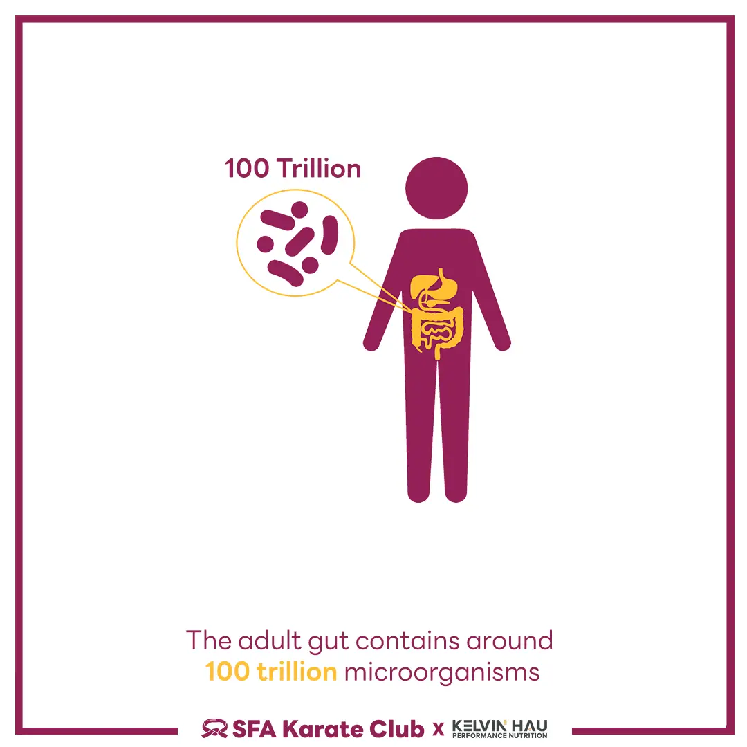 Gut Microbiota & Performance — image 3 of 6