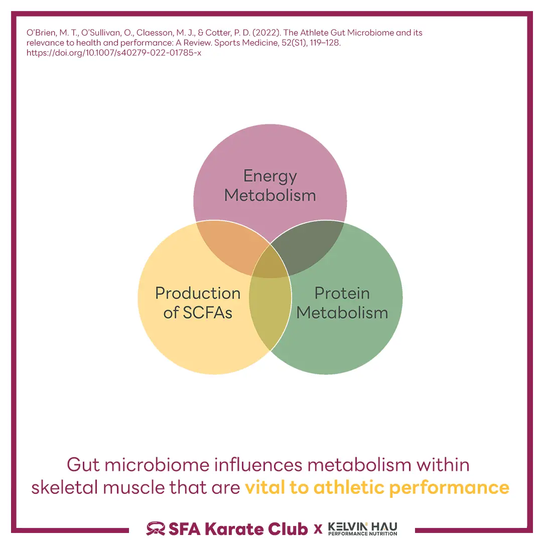 Gut Microbiota & Performance — image 5 of 6