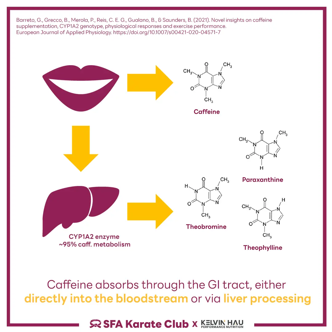 Gene & Caffeine Metabolism — image 4 of 9