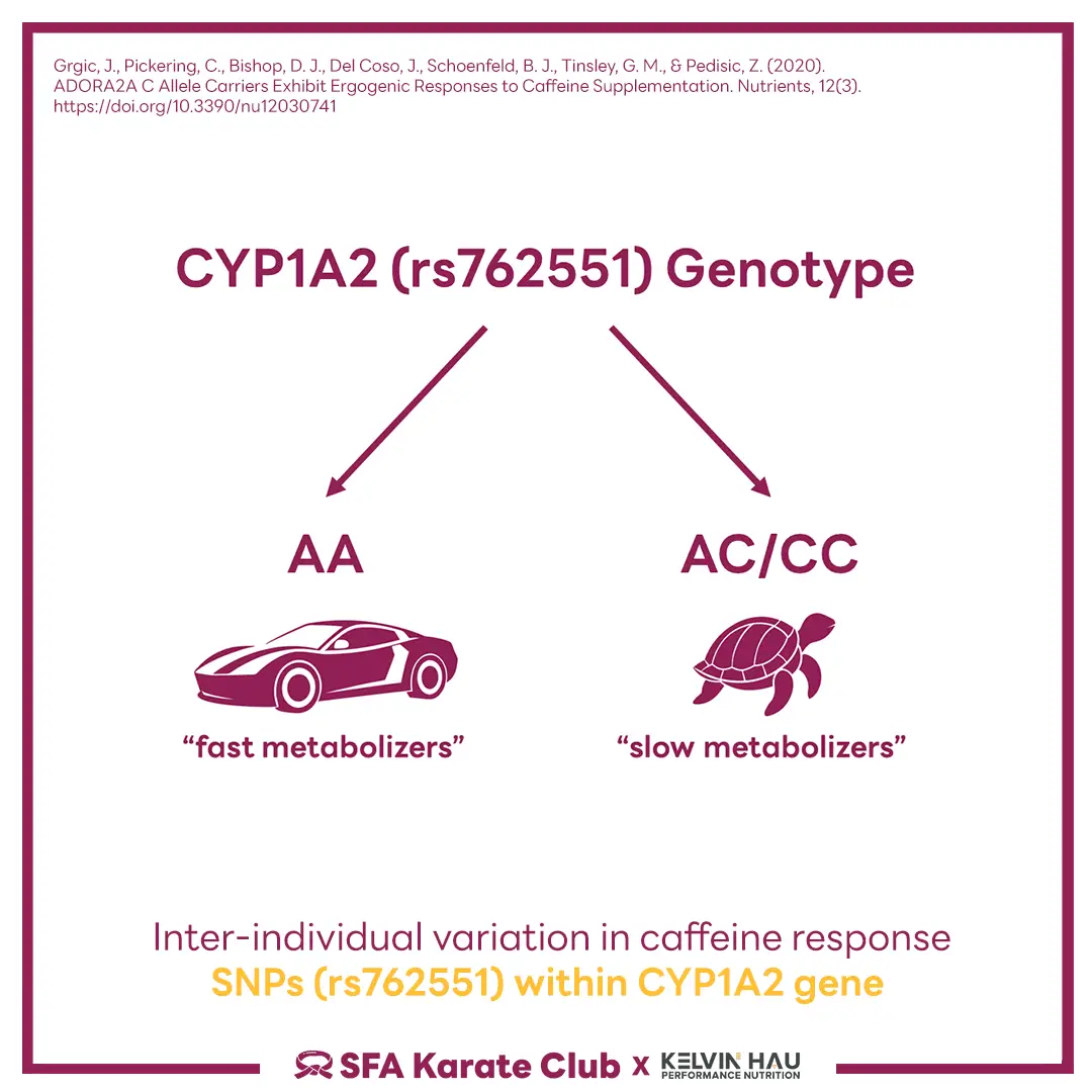 Gene & Caffeine Metabolism — image 6 of 9