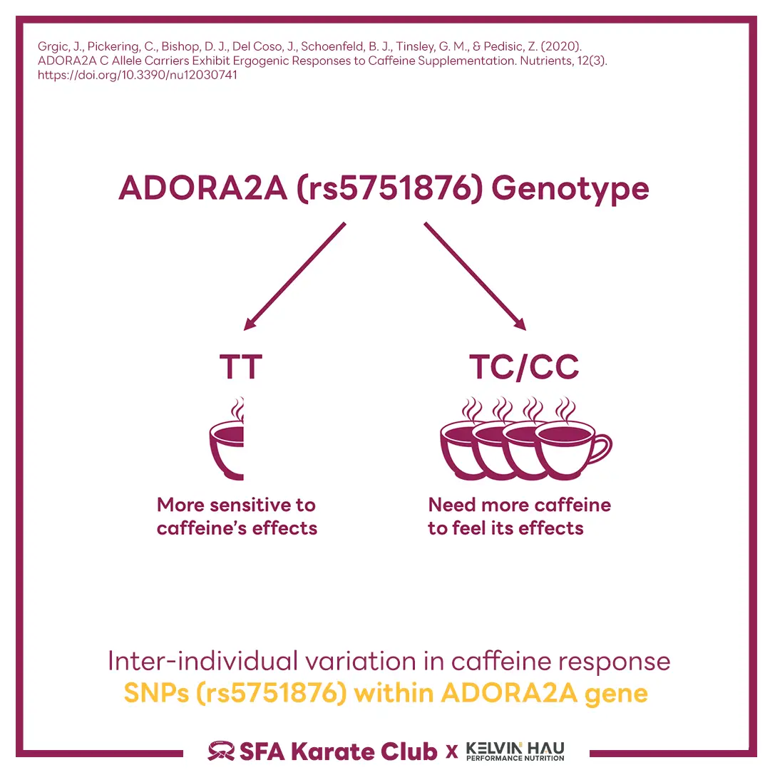 Gene & Caffeine Metabolism — image 7 of 9