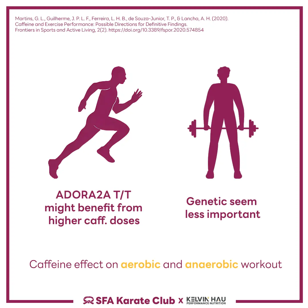 Gene & Caffeine Metabolism — image 8 of 9