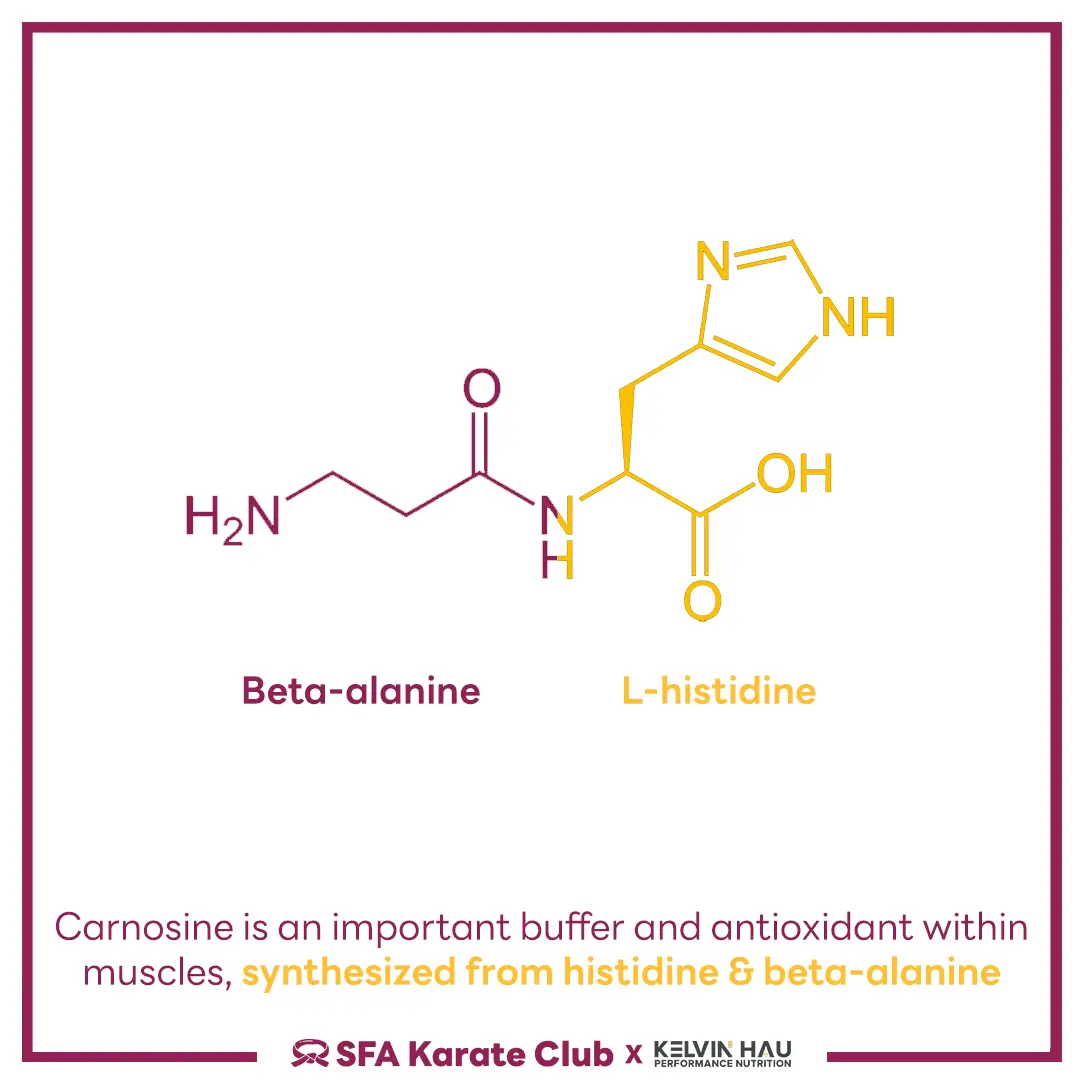 Beta-alanine & Karate Performance — image 3 of 9