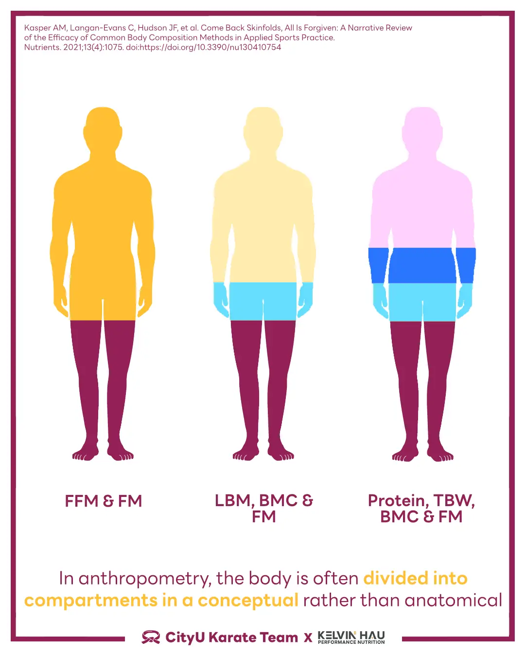 Body Composition & Combat Sports Athletes — image 3 of 16