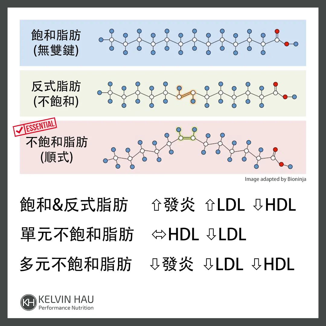 營養101: 脂肪 — image 2 of 2