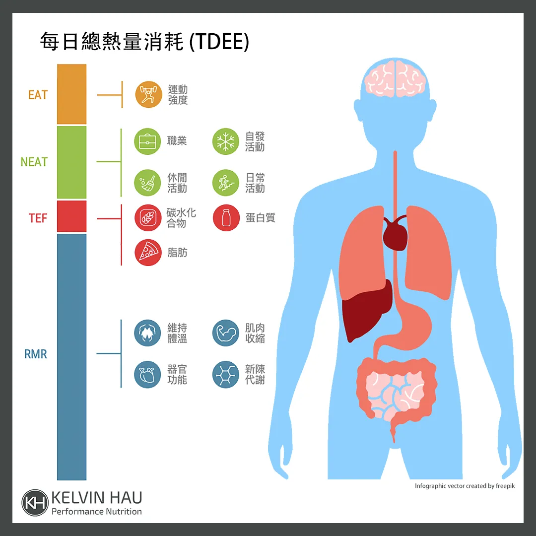 營養101: 熱量與代謝 — image 2 of 2